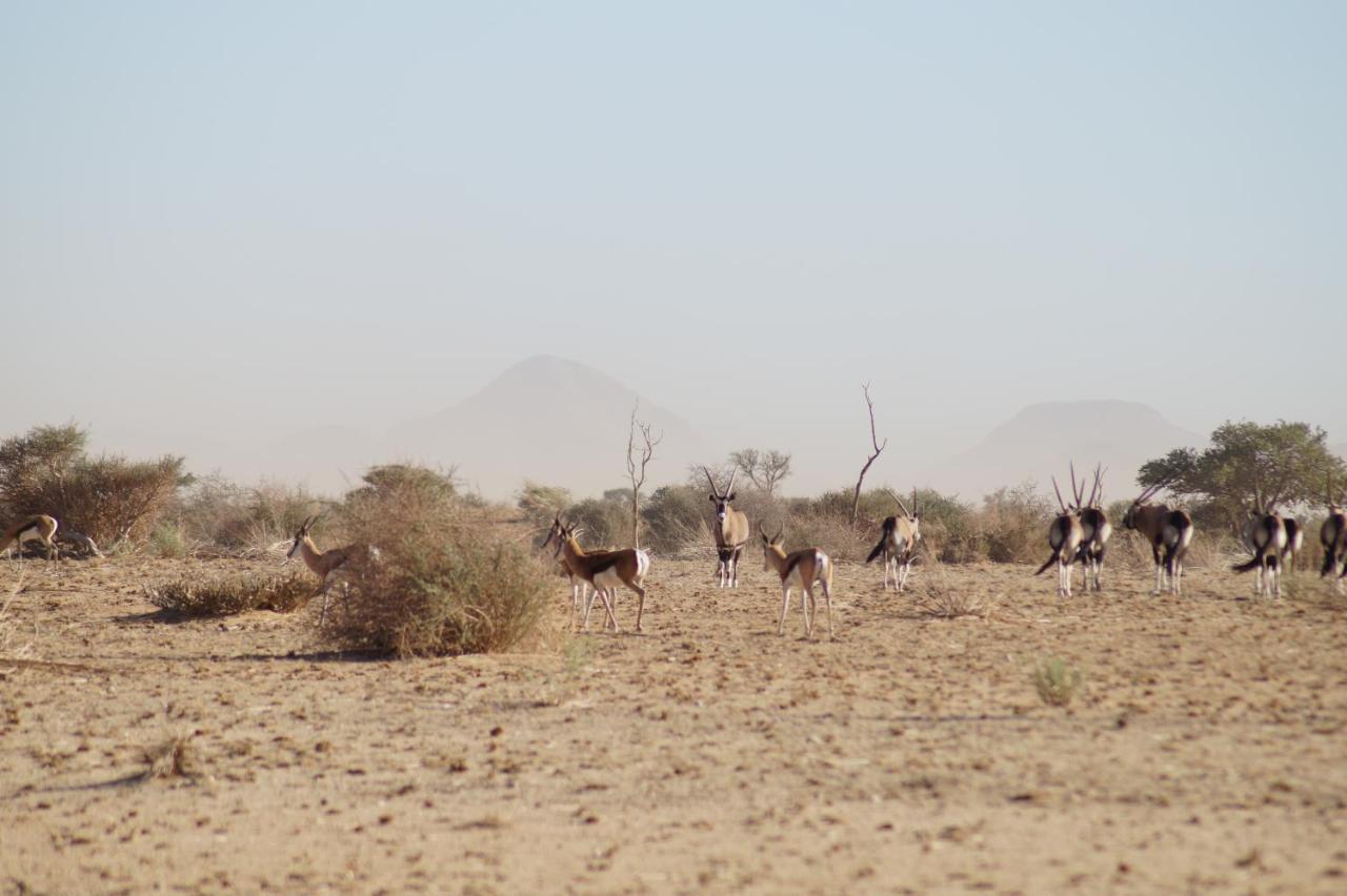 Camp Gecko - Private Nature Reserve; Tented Camp And Campsite Hotel Solitaire Buitenkant foto