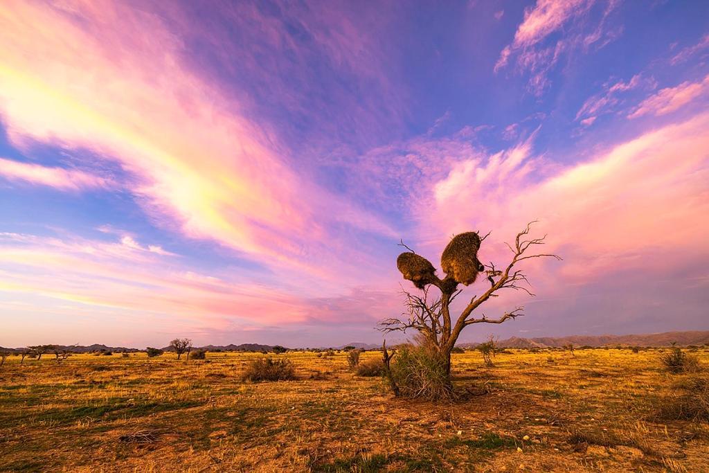 Camp Gecko - Private Nature Reserve; Tented Camp And Campsite Hotel Solitaire Buitenkant foto