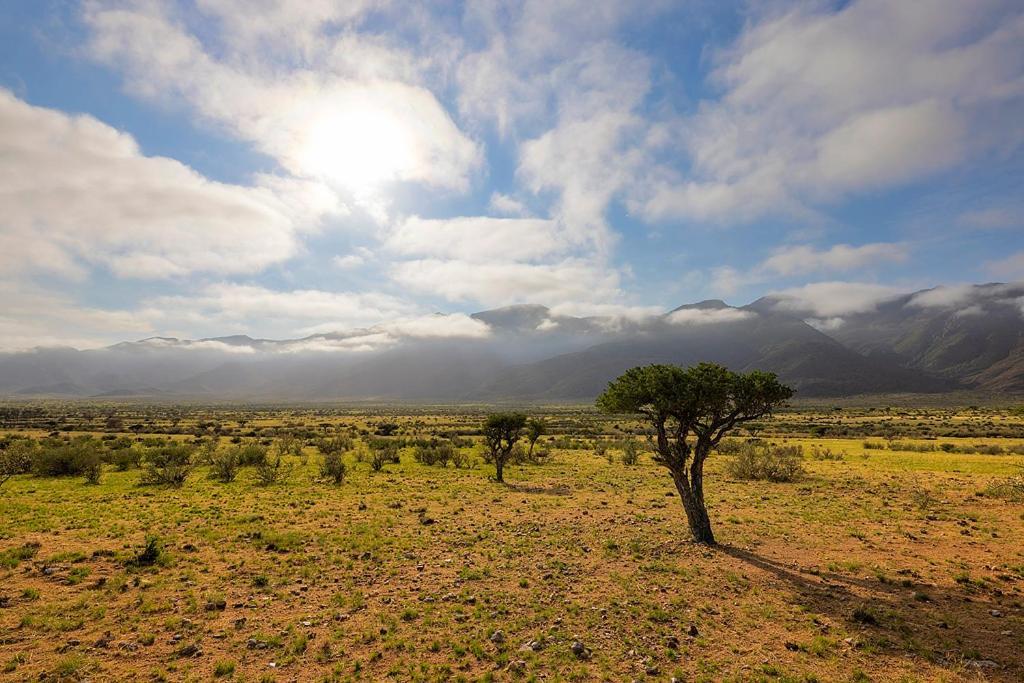 Camp Gecko - Private Nature Reserve; Tented Camp And Campsite Hotel Solitaire Buitenkant foto