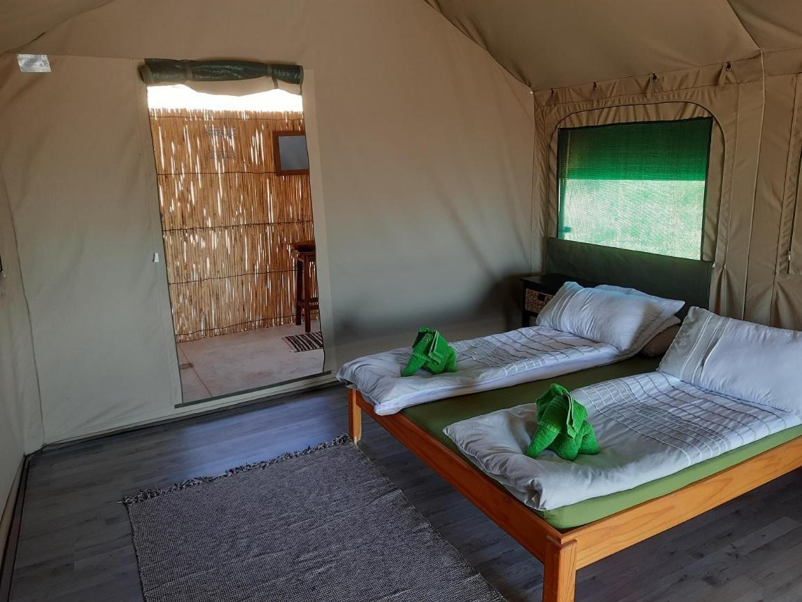 Camp Gecko - Private Nature Reserve; Tented Camp And Campsite Hotel Solitaire Buitenkant foto