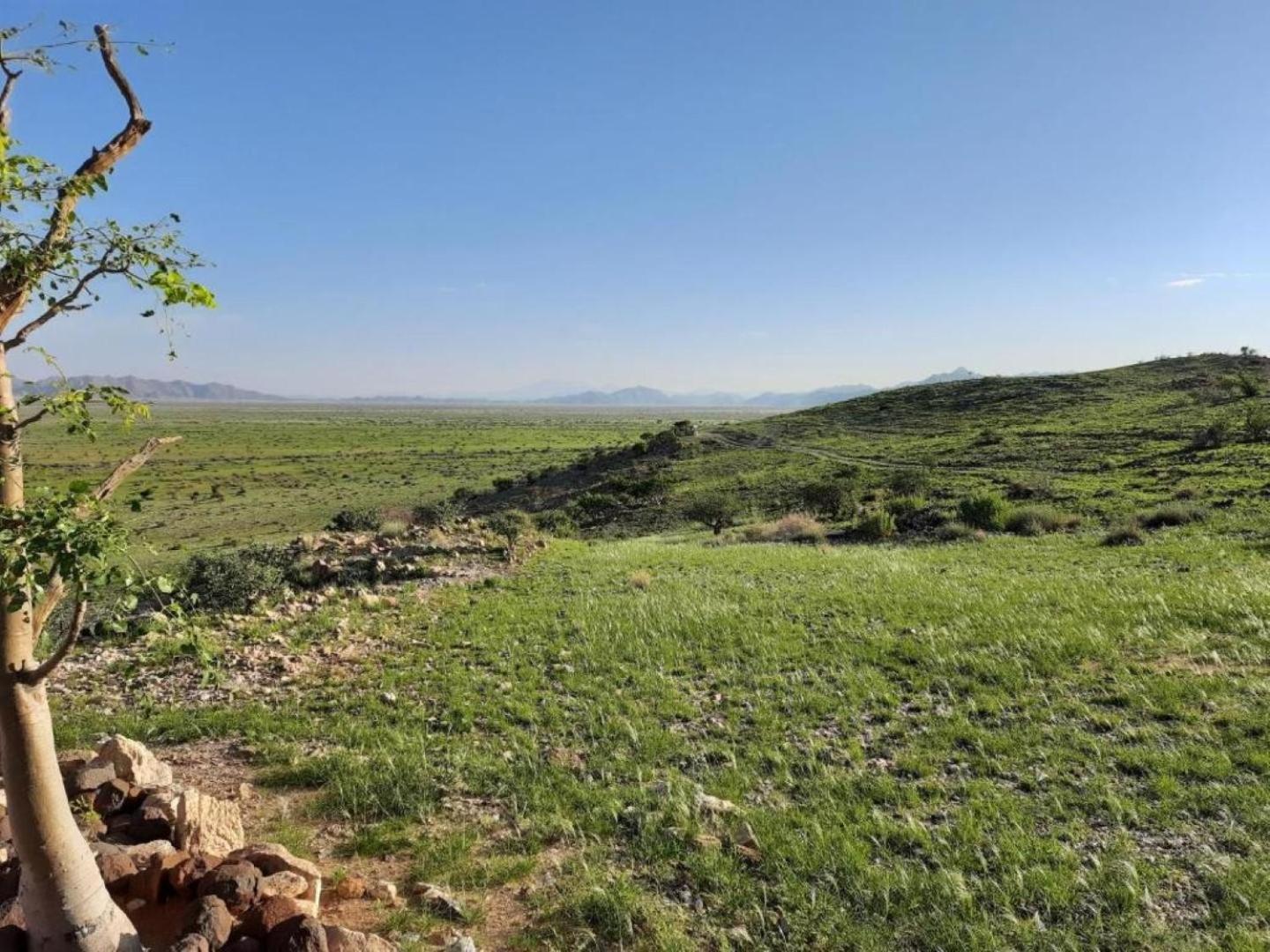 Camp Gecko - Private Nature Reserve; Tented Camp And Campsite Hotel Solitaire Buitenkant foto