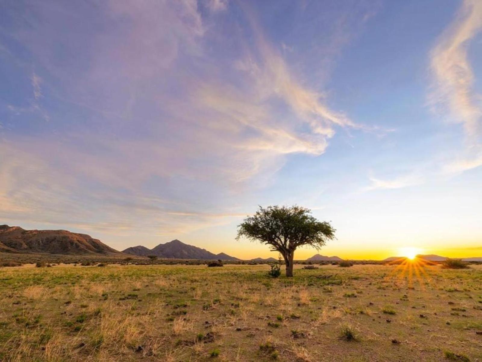 Camp Gecko - Private Nature Reserve; Tented Camp And Campsite Hotel Solitaire Buitenkant foto